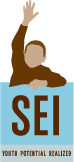 logo-sei-footer